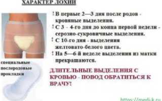 Какого цвета месячные после родов