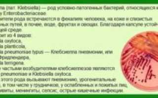 Клебсиелла 10 В 8 Степени У Грудничка