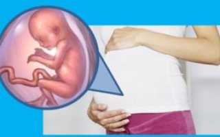 Как часто ребенок должен шевелиться в 18 недель беременности