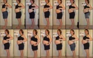 Почему Живот При Беременности Быстро Растет Живот