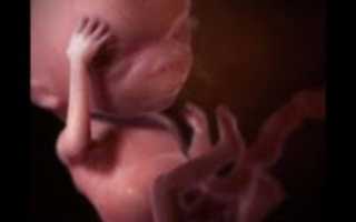 Вторая беременность нет шевелений на 18 неделе беременности