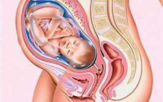 Болят соски 39 недель беременности