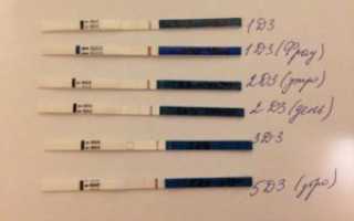 Задержка 6 дней болит грудь