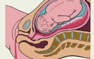 Почему во сне сокращается матка