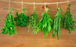 Травы при сахарном диабете – рецепты сахароснижающих сборов