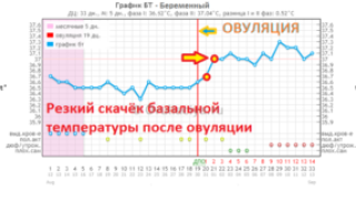 Температура тела 37 после овуляции