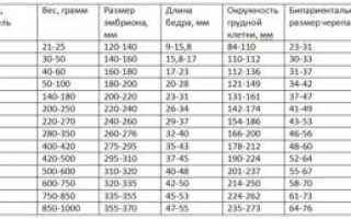 Вес ребенка в 34 35 недель