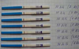 Через неделю после зачатия тест покажет беременность