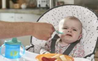 Как отучить ребенка от грудного вскармливания в 10 месяцев комаровский