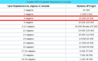 Хгч на первой неделе беременности