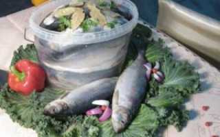 Можно ли беременным соленую селедку