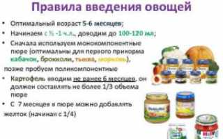 Со скольки месяцев можно давать ребенку тыквенное пюре