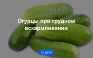 Огурец когда можно давать ребенку