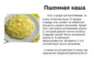 Каша Пшенная С Какого Возраста Можно Давать