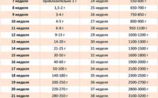 Вес на 21 неделе беременности норма