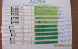 За сколько дней до овуляции начинает тянуть живот