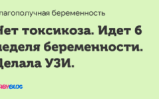 6 Акушерская неделя беременности нет токсикоза