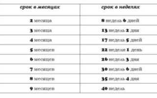 38 Недель беременности это сколько месяцев